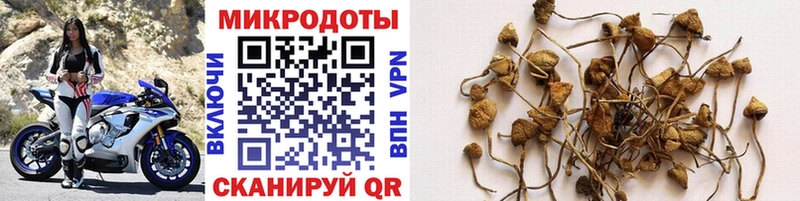 Псилоцибиновые грибы Magic Shrooms  Горячеводский 